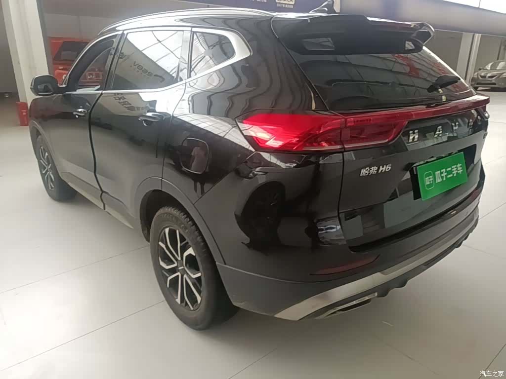 Haval H6, 2023 все фото