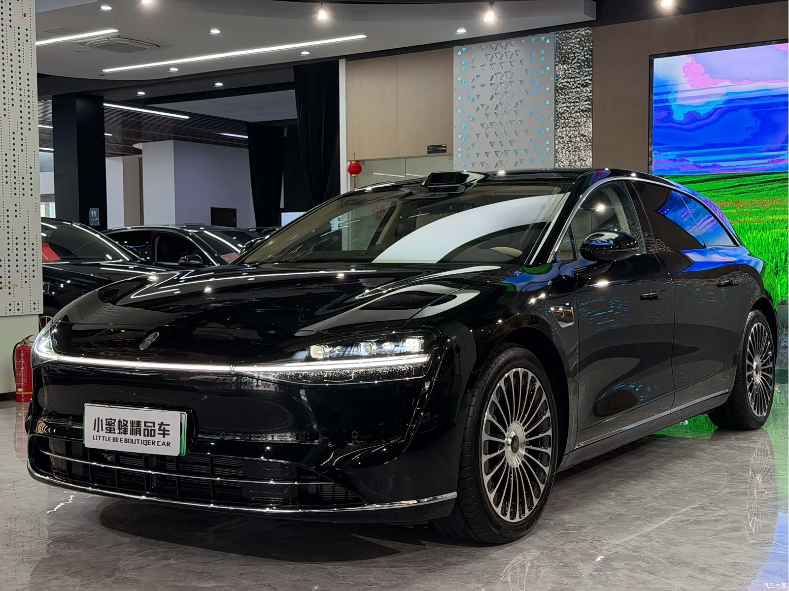 Stelato S9, 2025 1