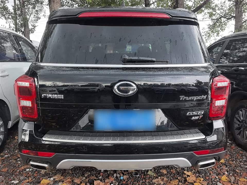 Trumpchi Trumpchi GS8 Trumpchi Trumpchi GS8