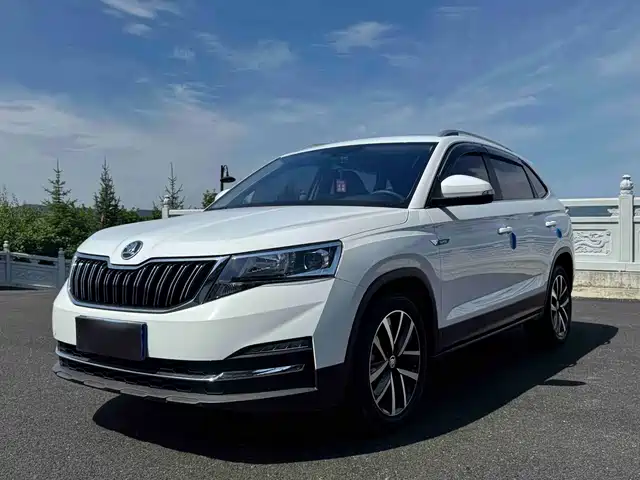 Škoda Kermick 2023 — купить из Китая под заказ