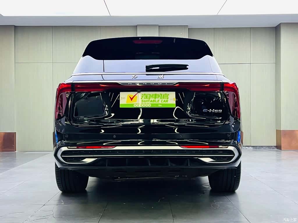 Hongqi E-HS9, 2023 все фото