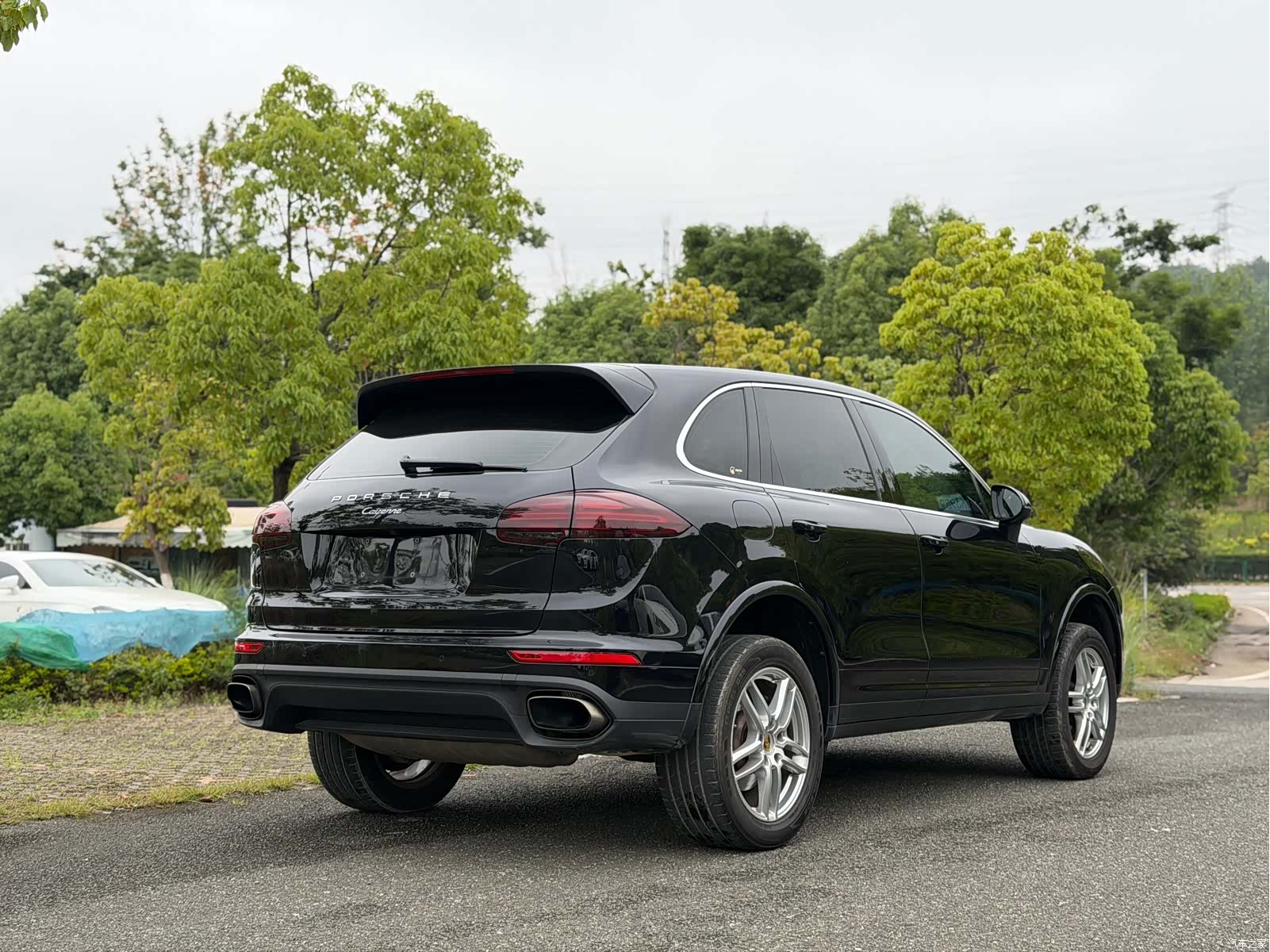 Cayenne Platinum, 2017 9