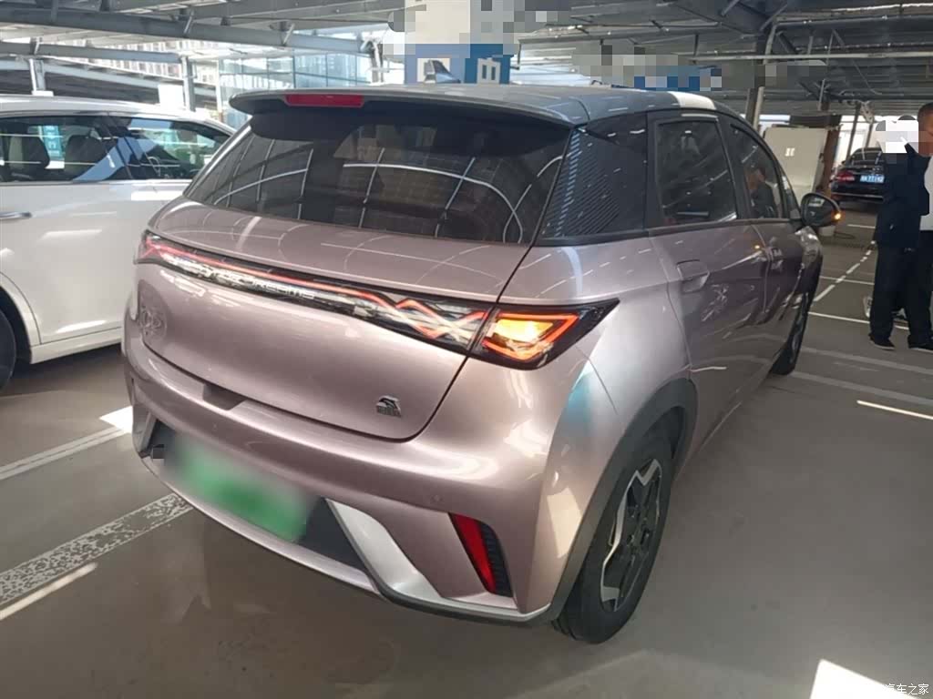 BYD Dolphin, 2022 7