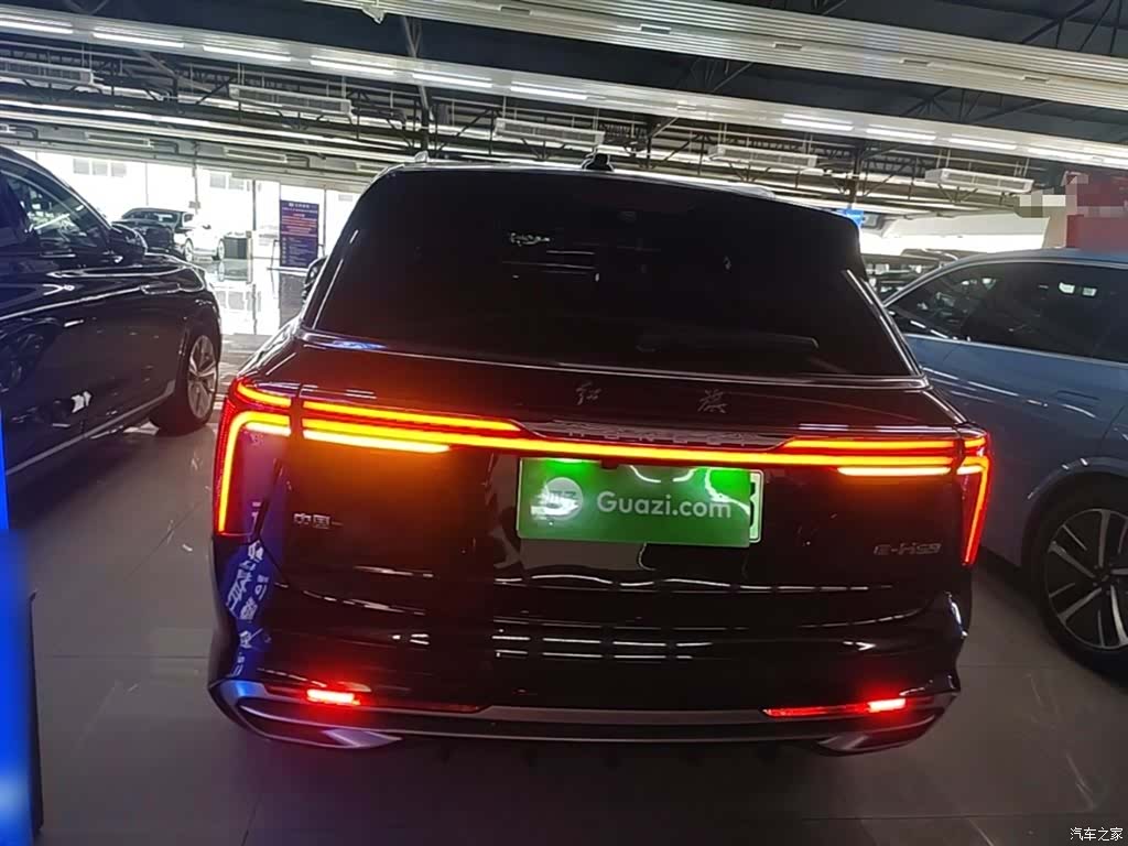 Hongqi E-HS9, 2023 6