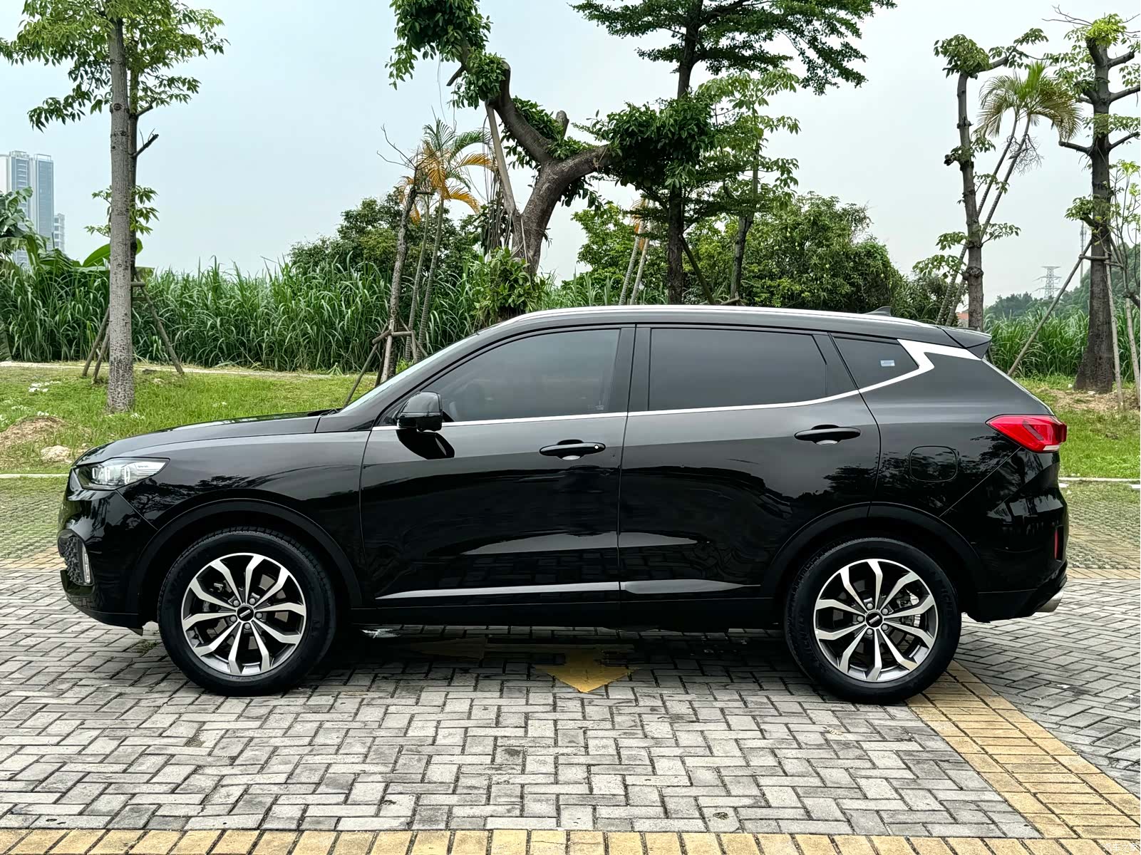 WEY VV6, 2020 15
