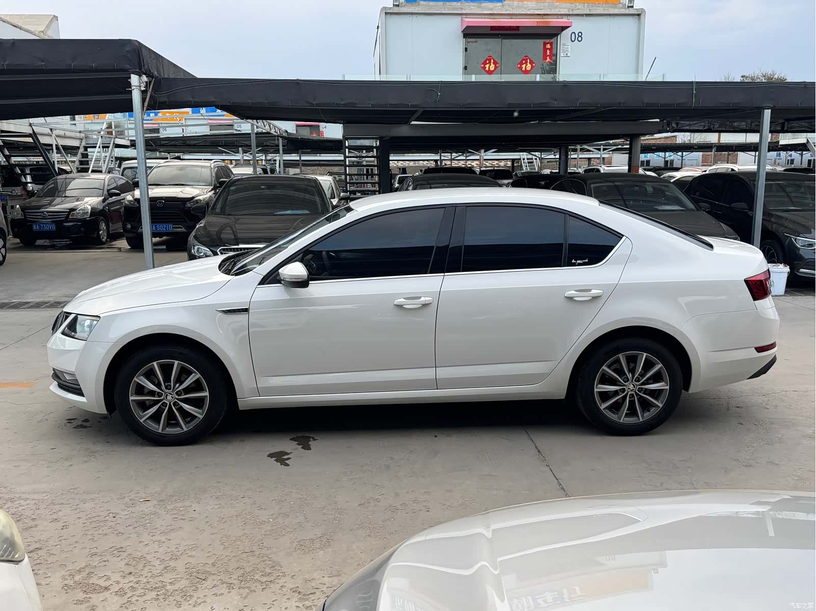 Skoda Octavia, 2019 2