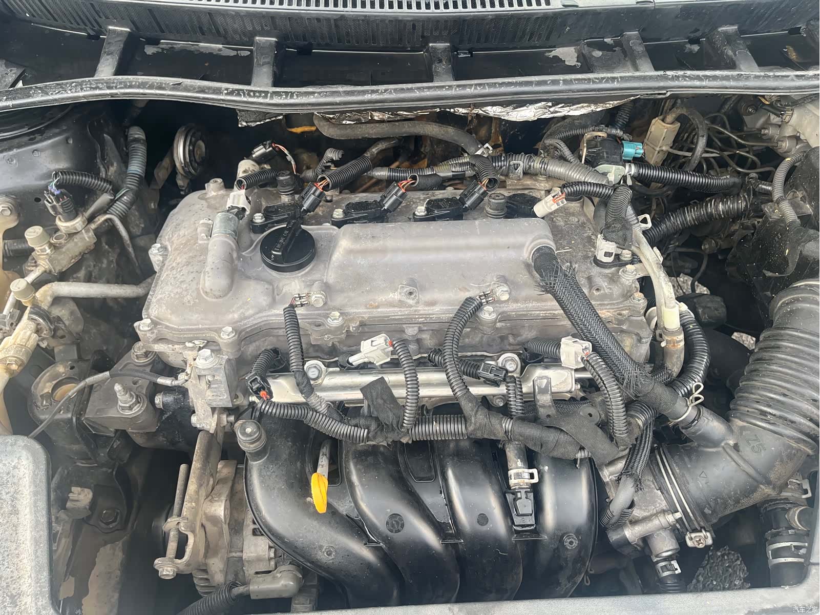 Toyota Corolla, 2011 10