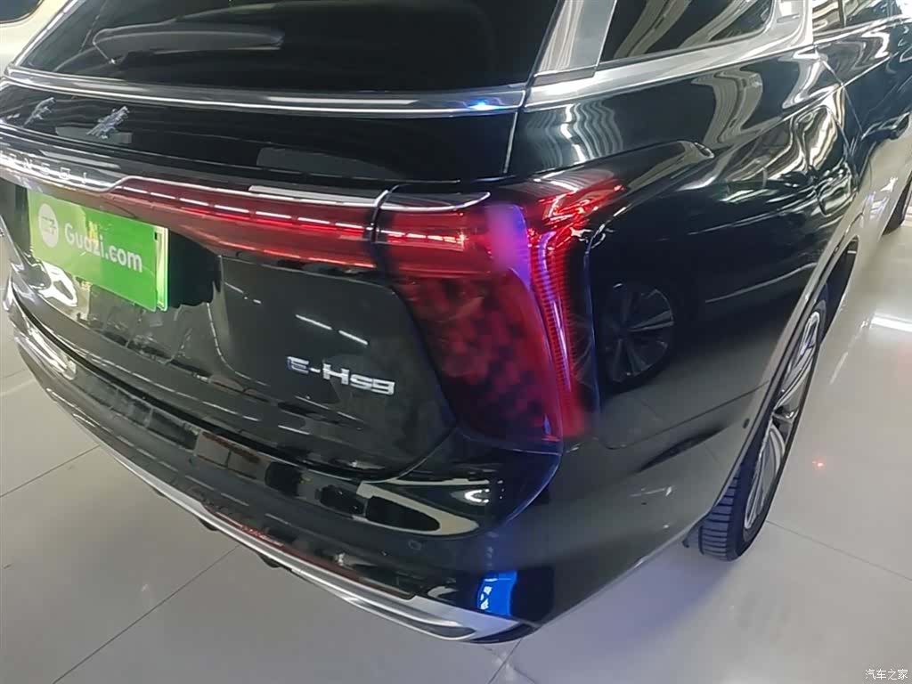 Hongqi E-HS9, 2023 8