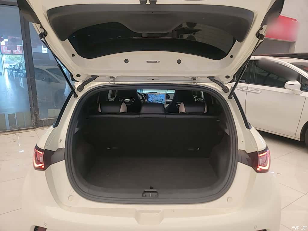BYD Dolphin, 2024 19