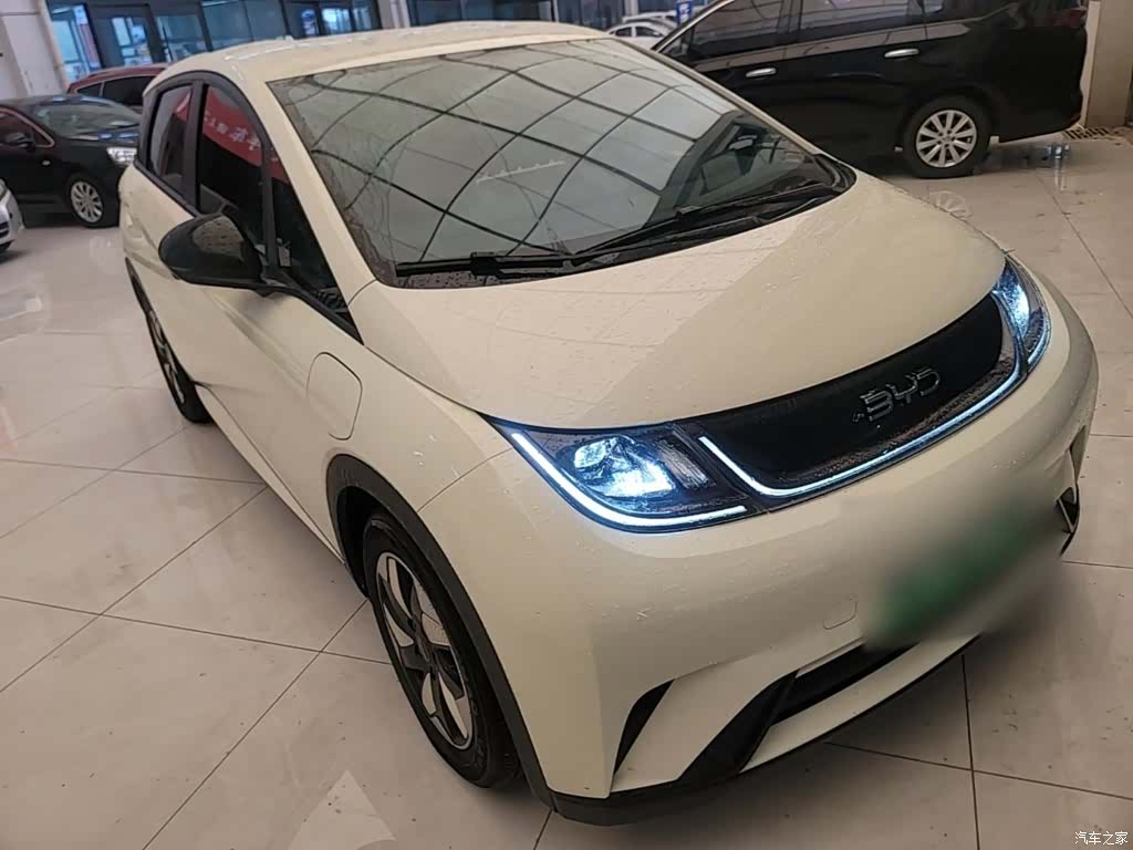 BYD Dolphin, 2024 4
