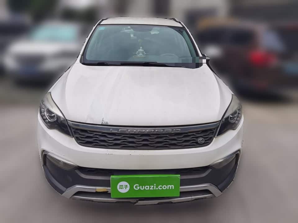 Leopaard Cheetah CS10