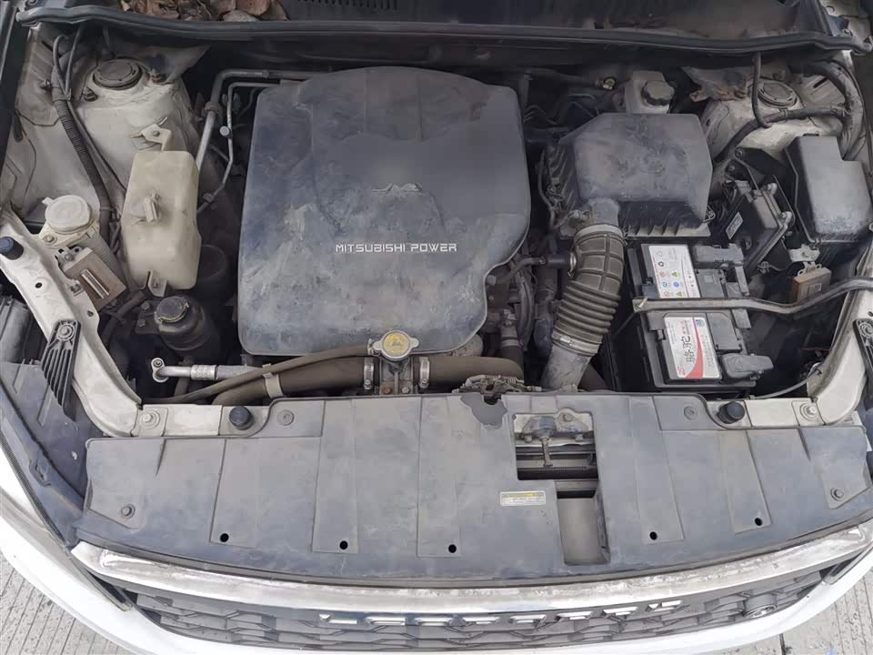 Leopaard Cheetah CS10