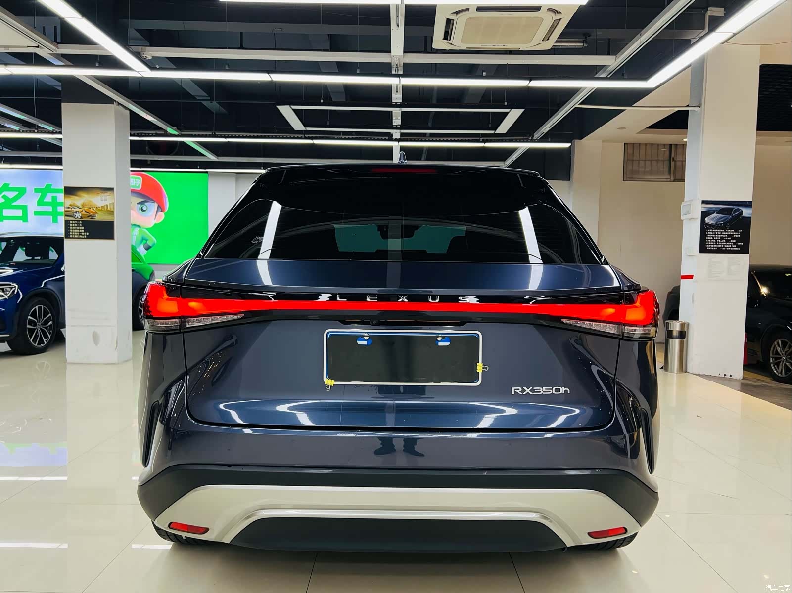 Lexus RX, 2023 17