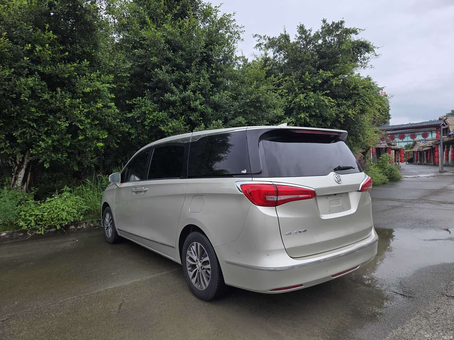 Buick GL8, 2017 12