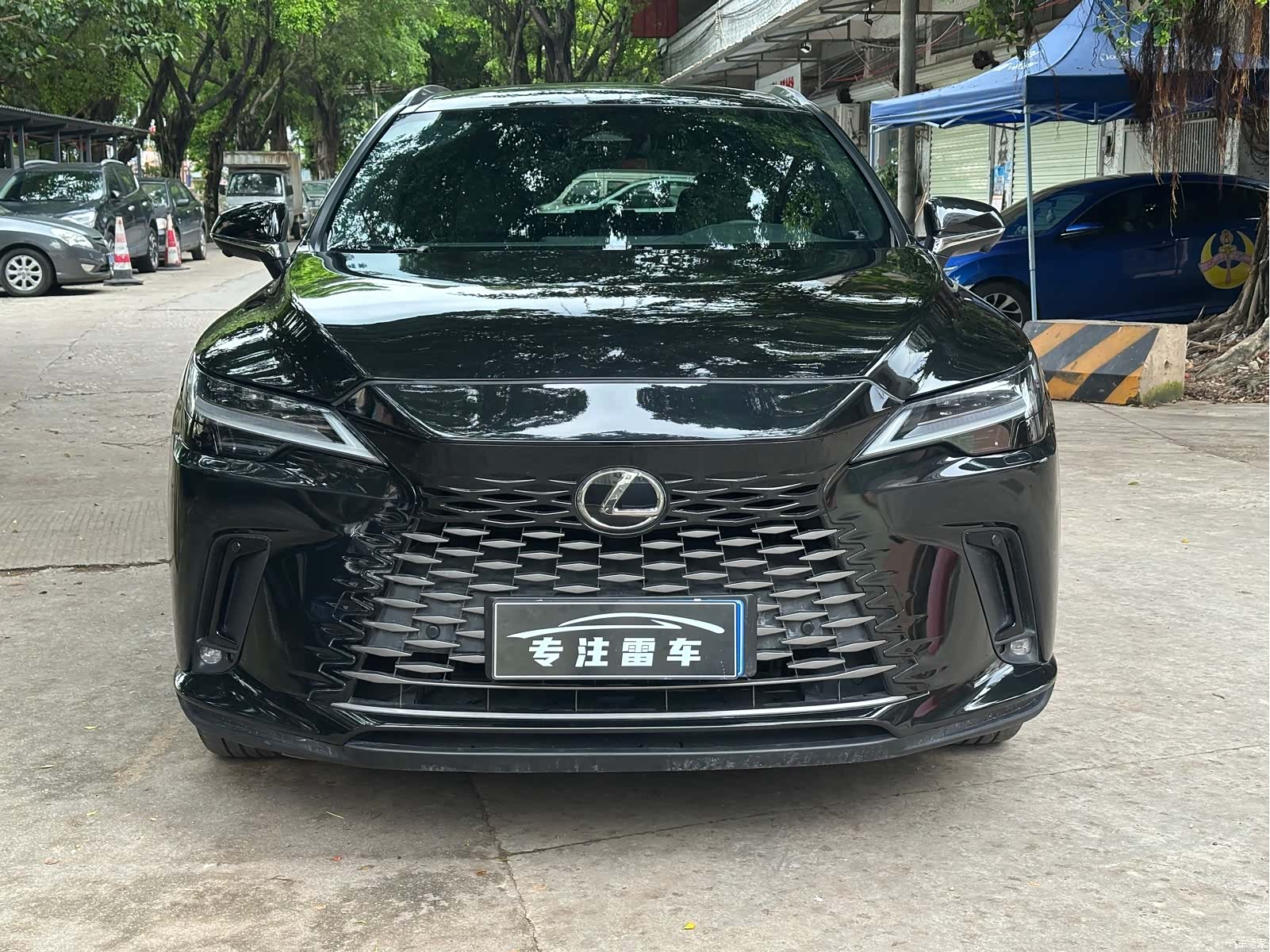Lexus RX, 2025 2