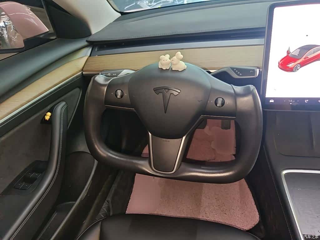 Tesla Model 3, 2021 11