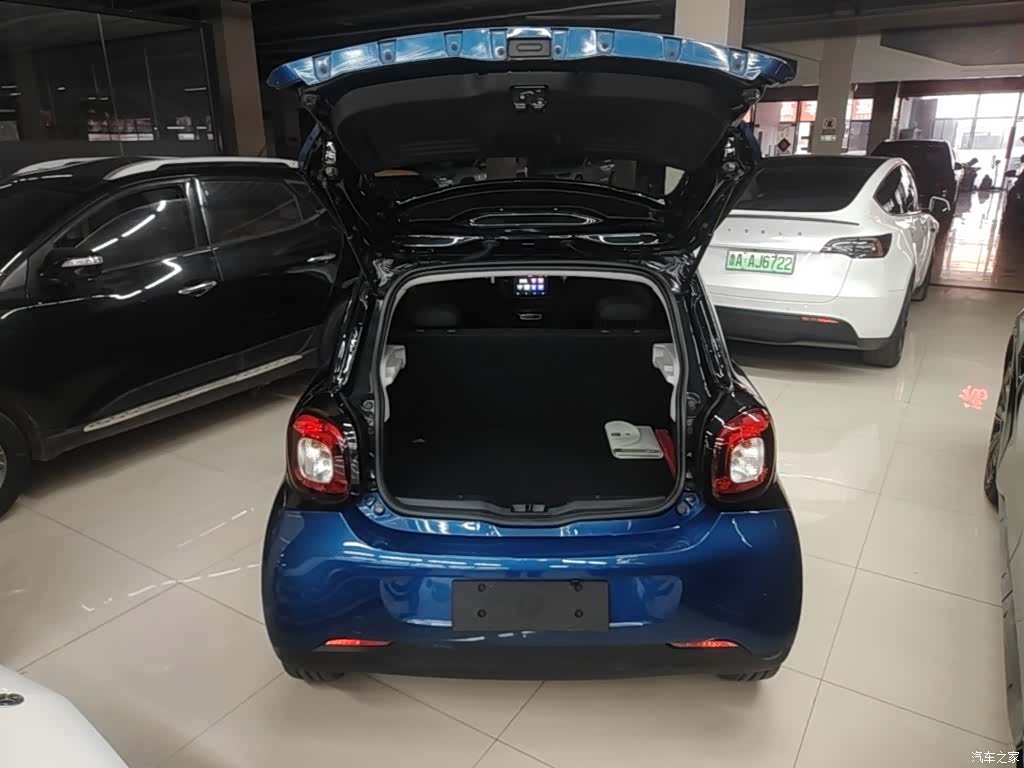 Smart Forfour, 2019 19