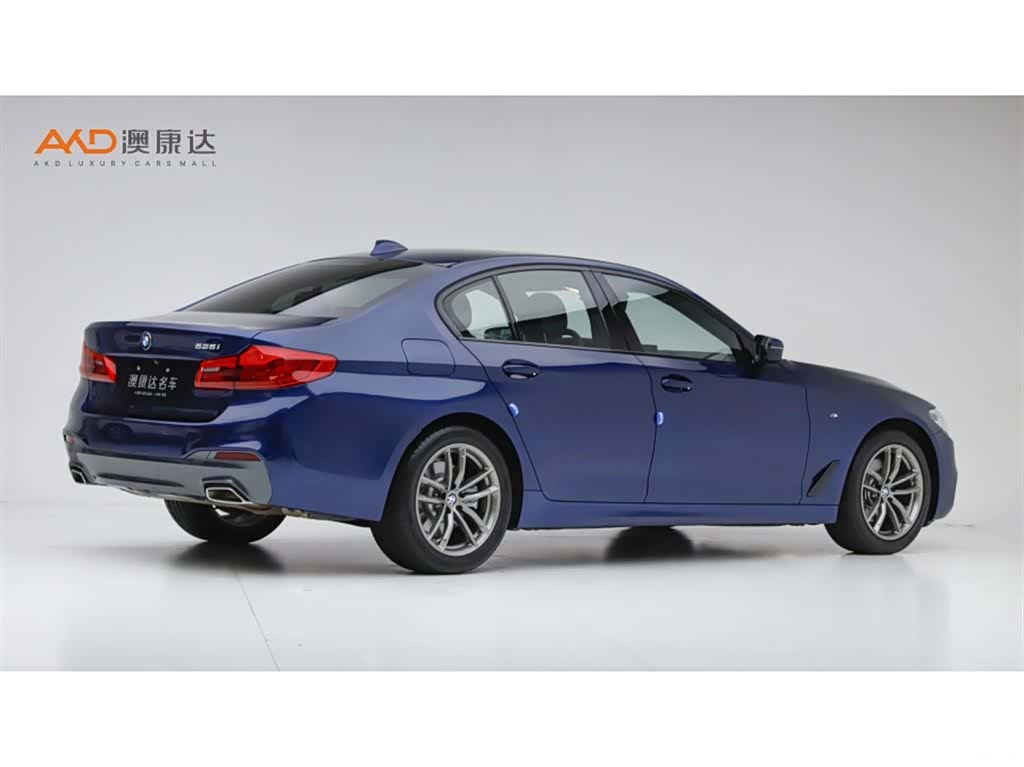 BMW 5 Series, 2020 3
