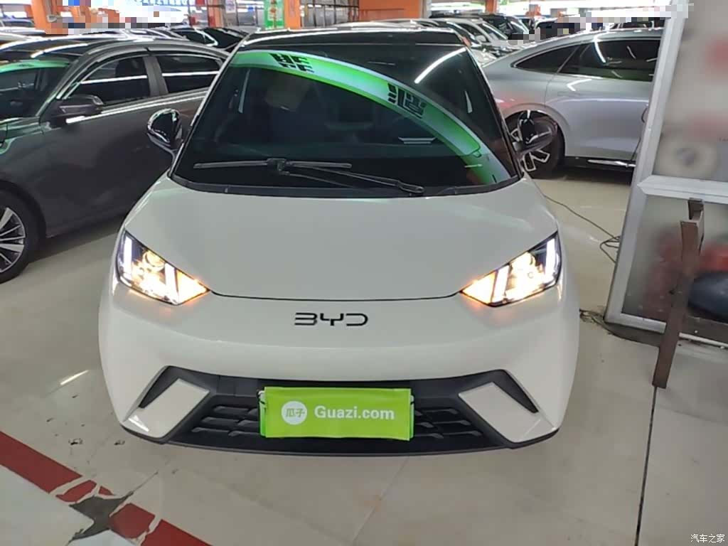 BYD Seagull, 2025 3