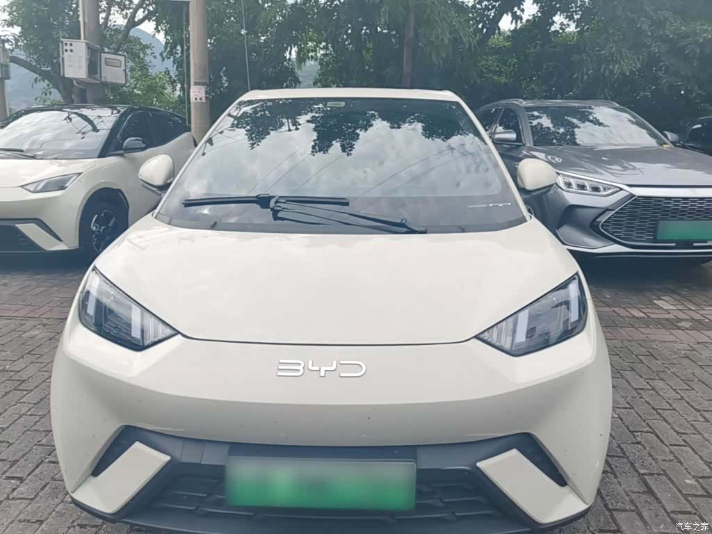 BYD Seagull, 2024 3