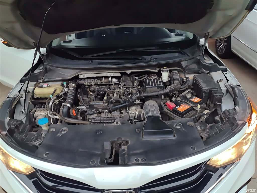 Honda V, 2019 20