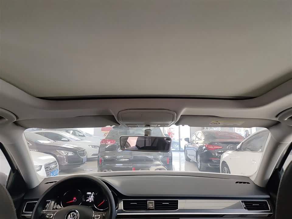 Volkswagen C-TREK Wei Collar