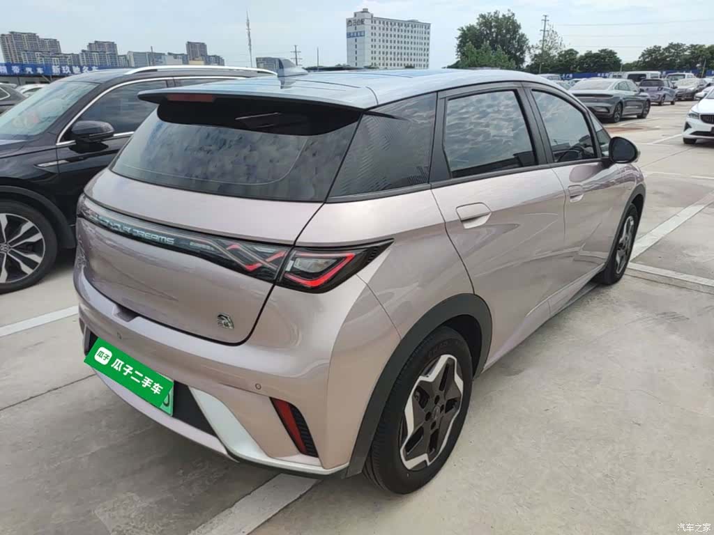 BYD Dolphin, 2022 7