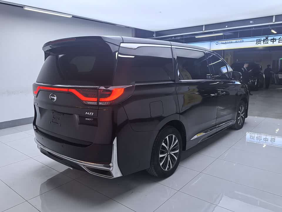 Trumpchi Trumpchi M8