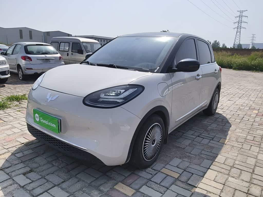 Wuling Binguo