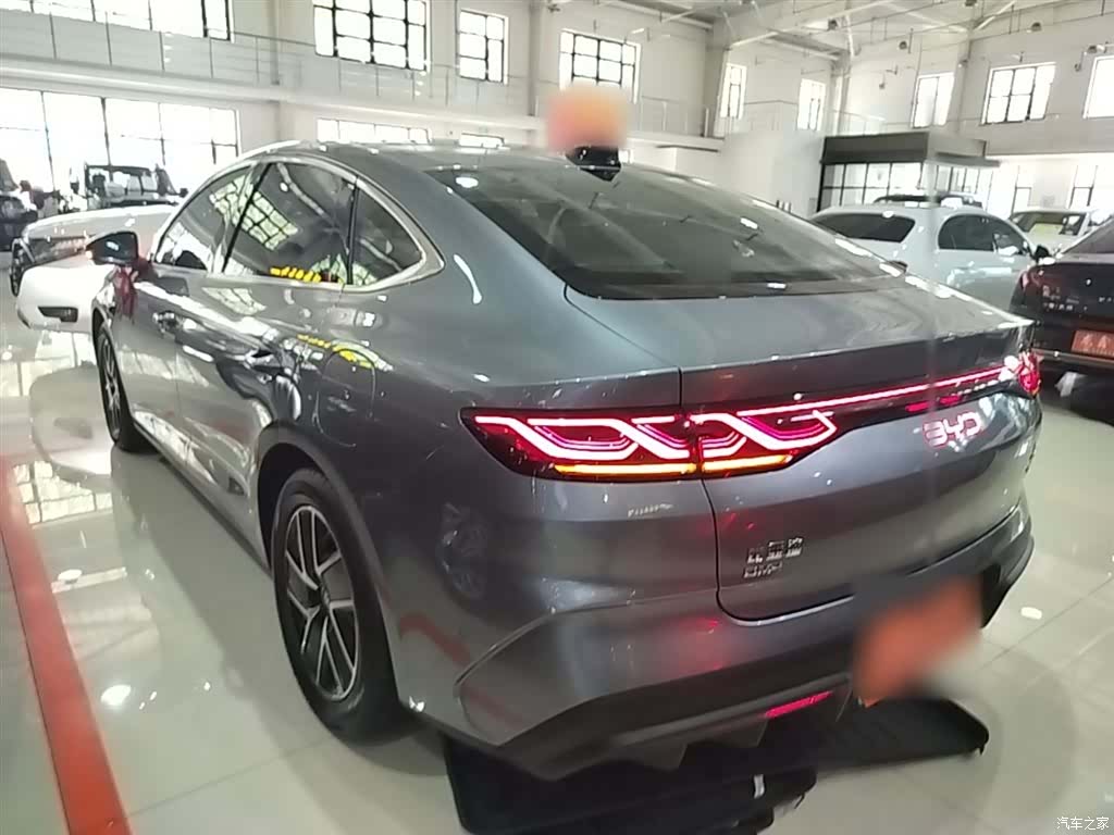 BYD Qin, 2025 все фото