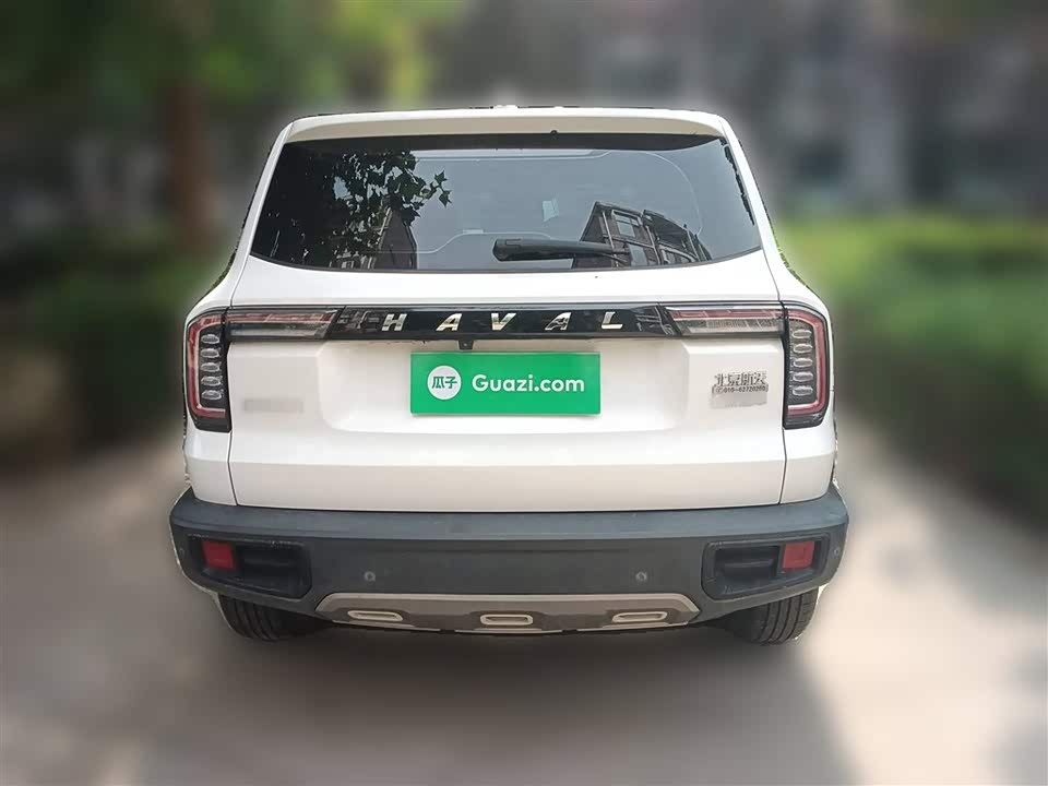 Haval Big dog
