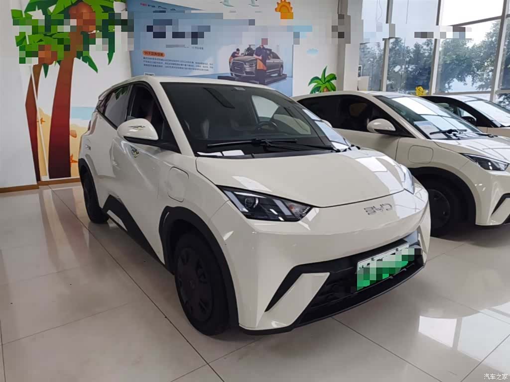 BYD Seagull, 2024 4