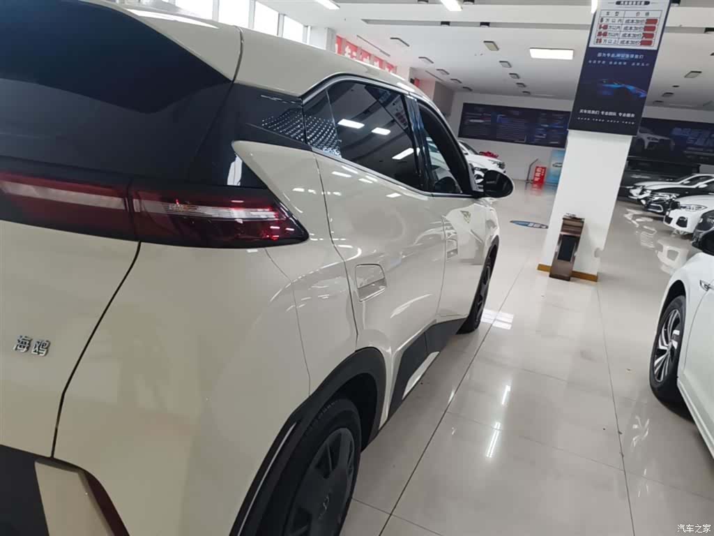 BYD Seagull, 2024 8