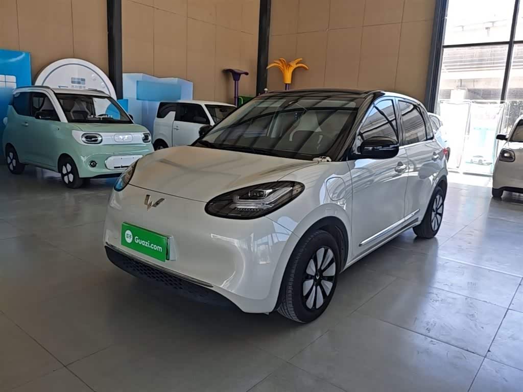 Wuling Binguo