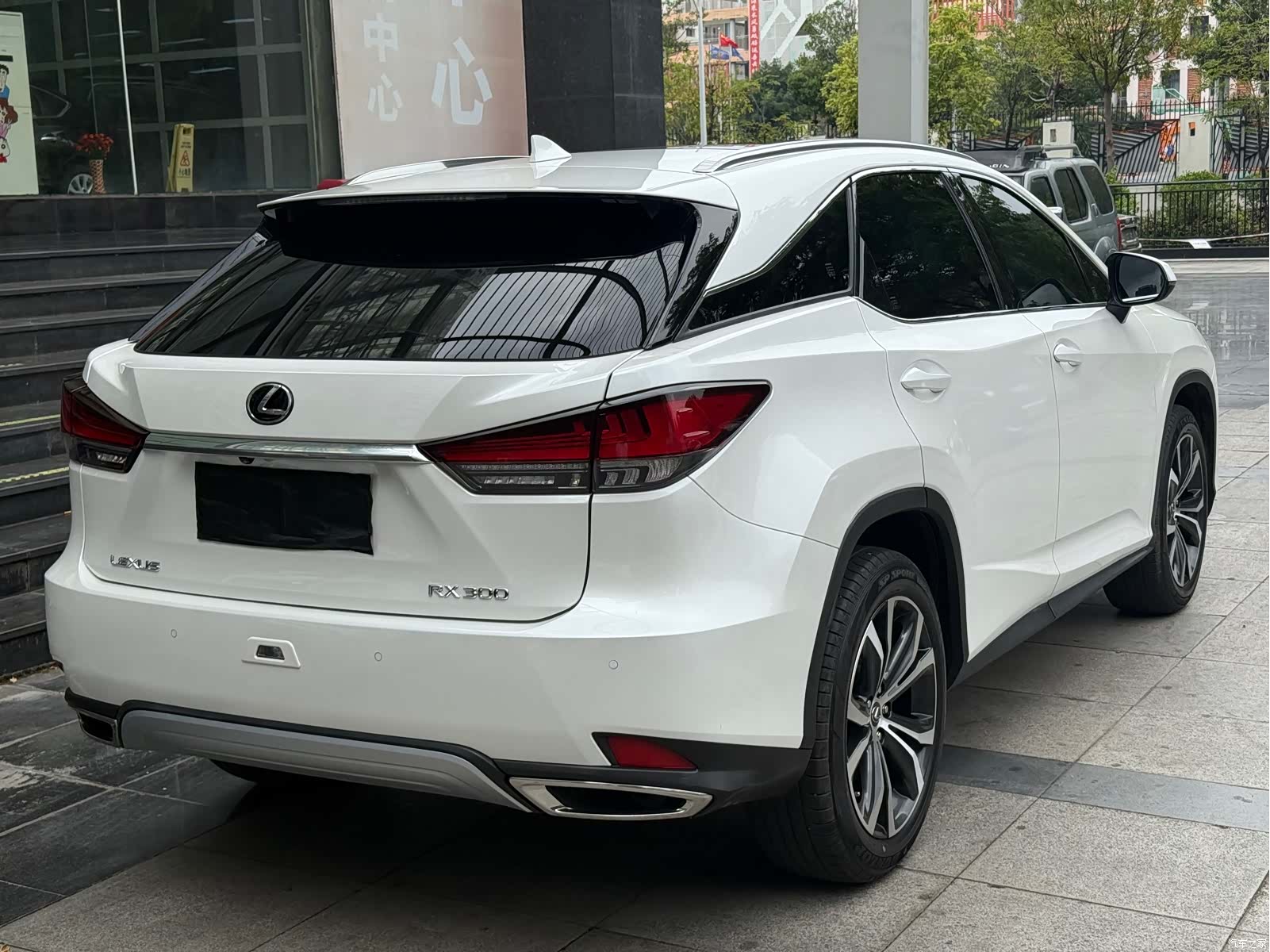 Lexus RX, 2025 9