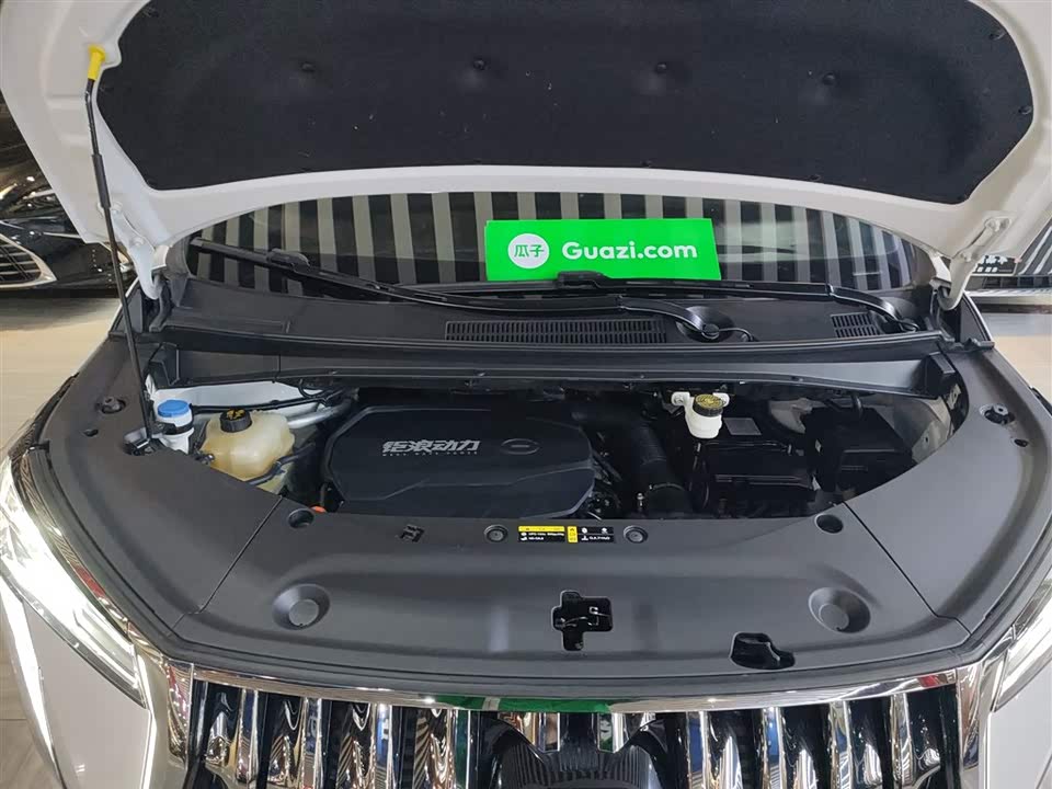 Trumpchi Trumpchi M8