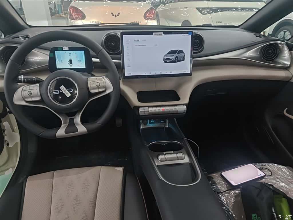 BYD Dolphin, 2026 10
