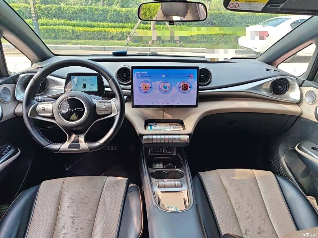 BYD Dolphin, 2024 13