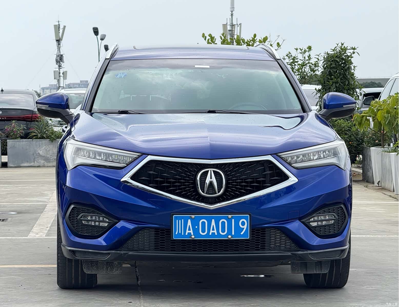 Acura CDX, 2019 2