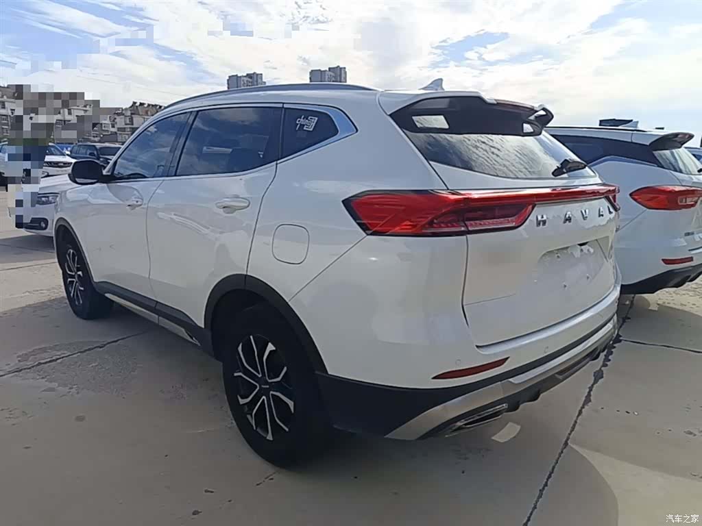 Haval H6, 2022 все фото