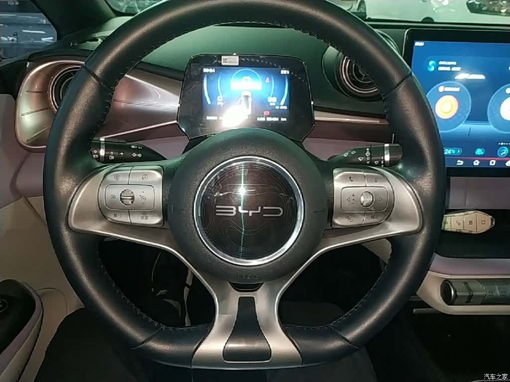BYD Dolphin, 2022 11