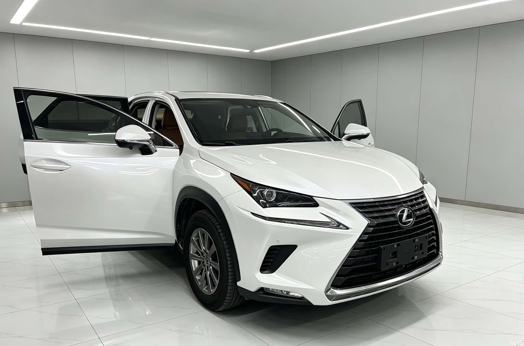 Lexus NX, 2020 2