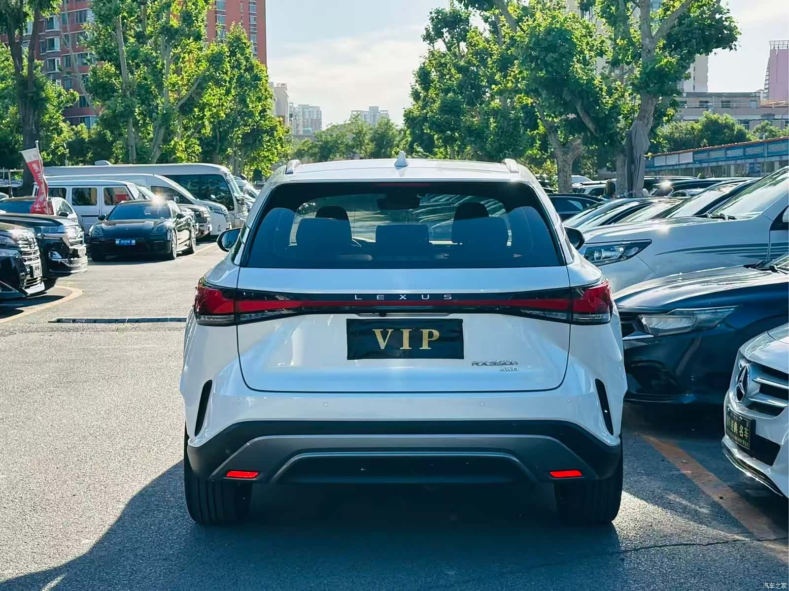 Lexus RX, 2023 все фото
