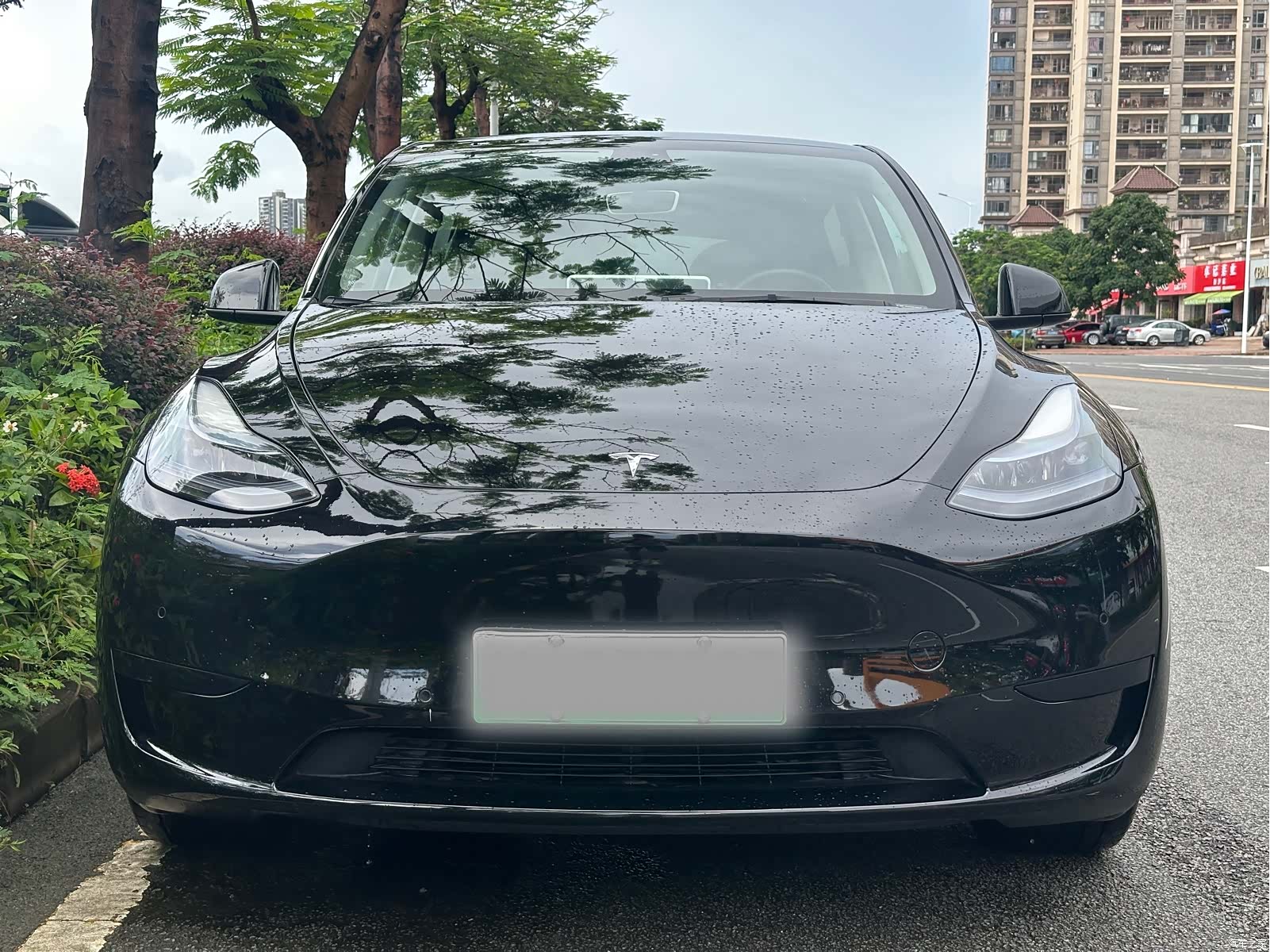 Tesla Model Y, 2024 6