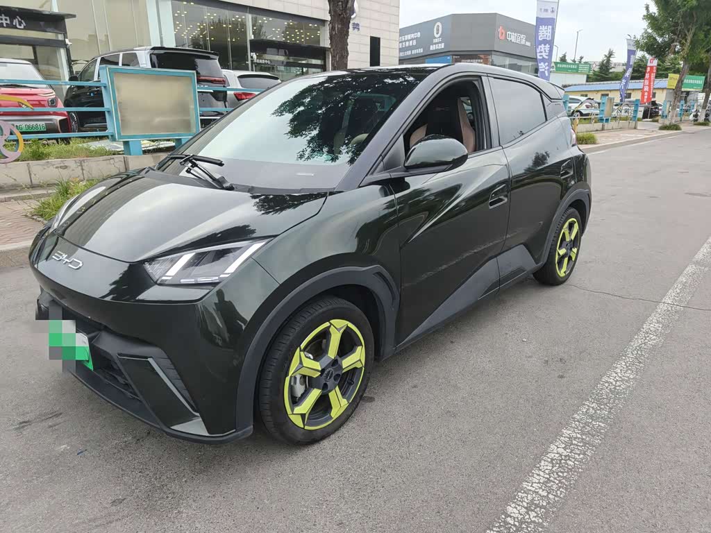BYD Seagull