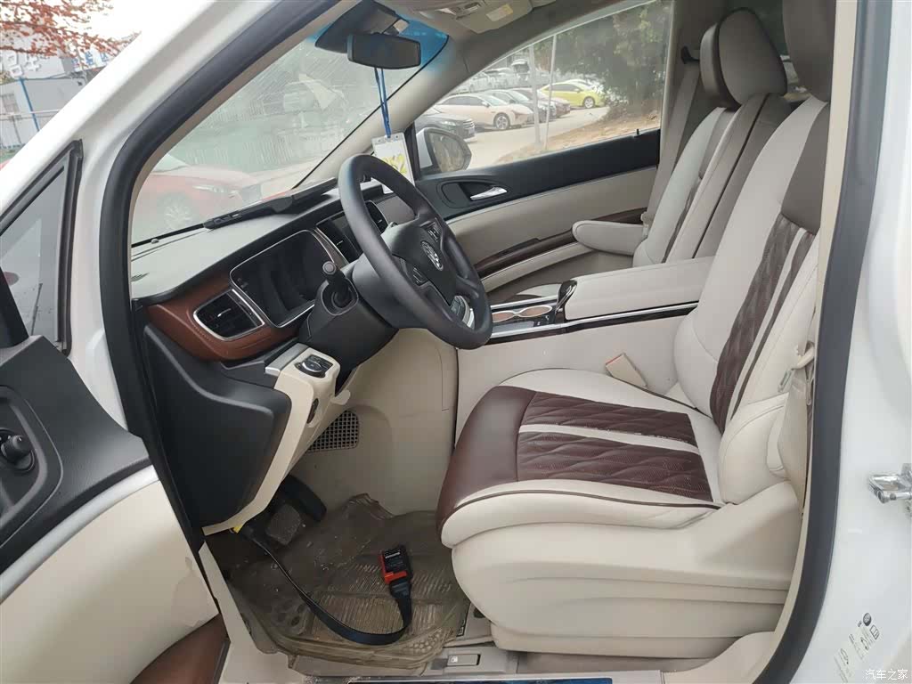 Buick GL8, 2019 14