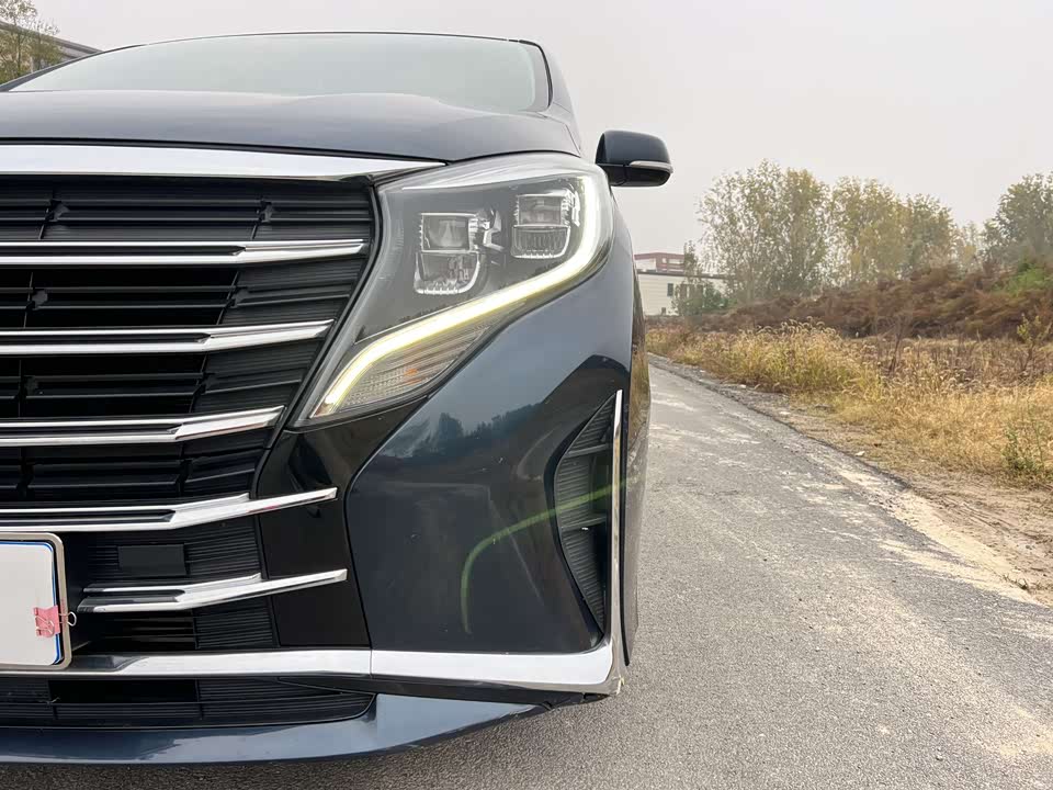 Trumpchi Trumpchi M8