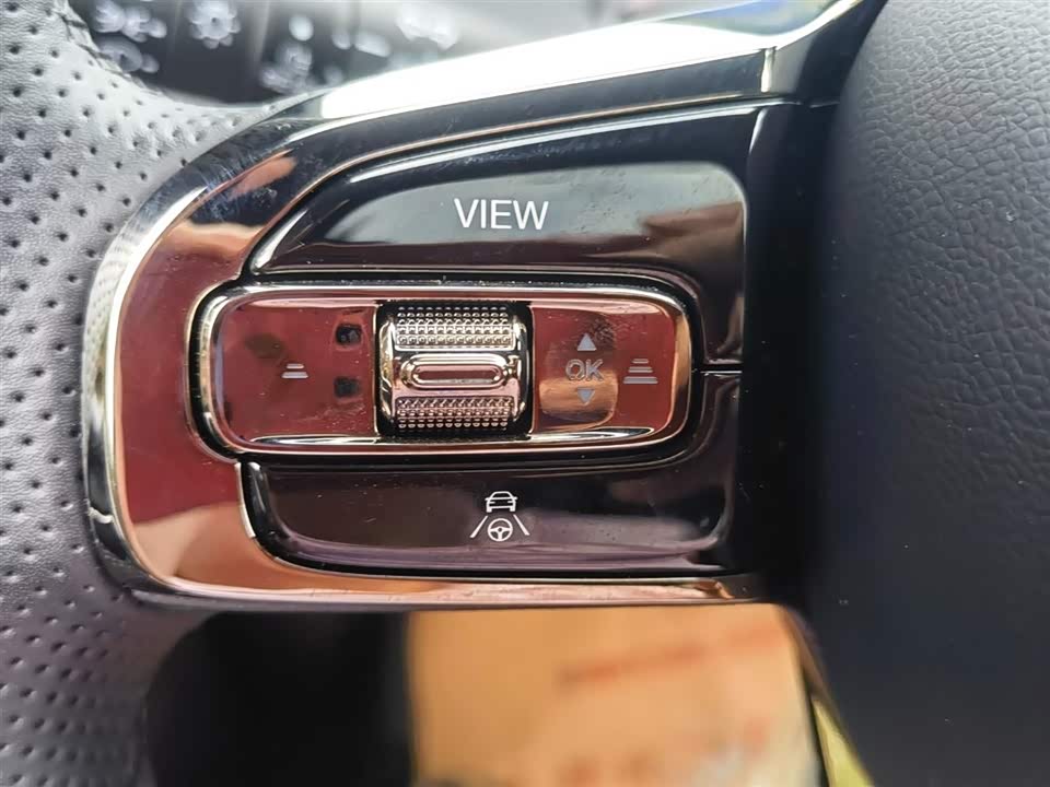 Trumpchi Trumpchi E9