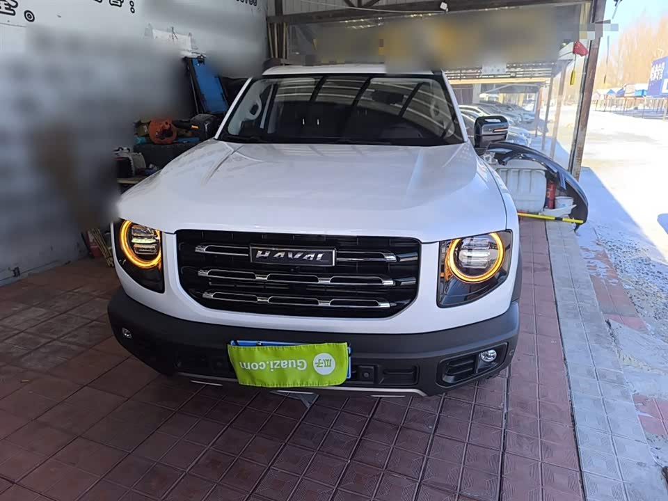 Haval Big dog