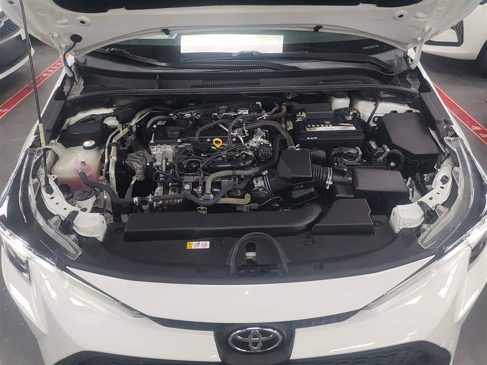Toyota Lei Ling